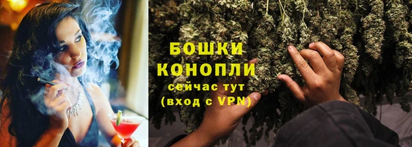 крисы Осташков